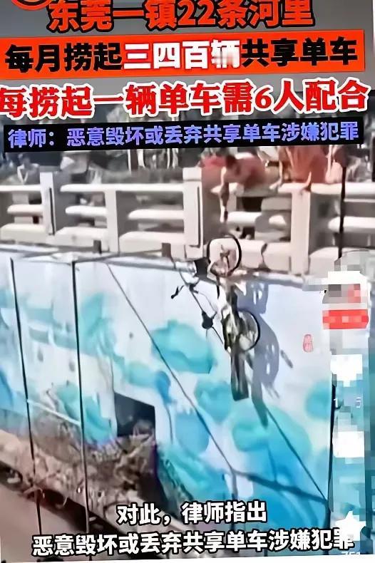一言不合就扔共享单车，东莞一镇河里，每天竟然可以捞起几百辆的共享单车，堪称奇迹。