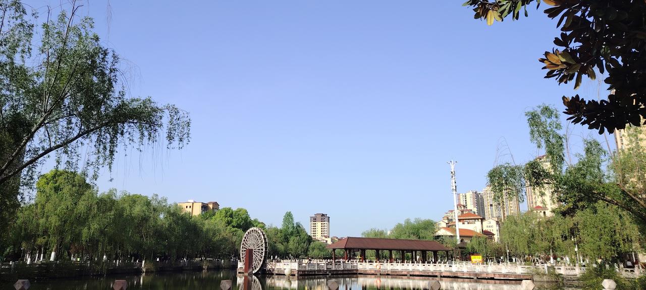 暮春的清晨，小县城公园里的春明景和。