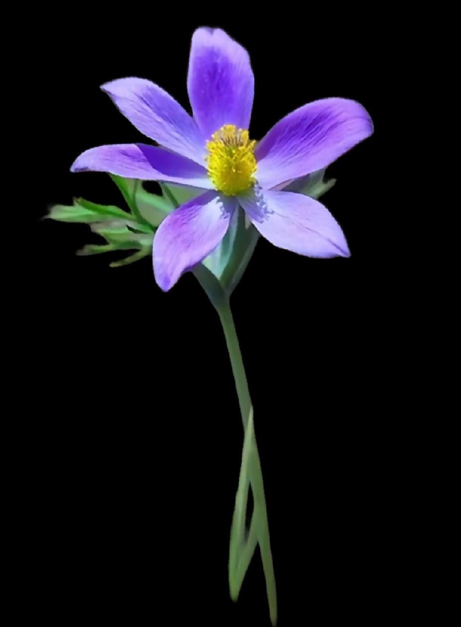 一方面好些人过完年就离职了，另一方面其实形势并不好，辞了这个工作，下个工作还没有