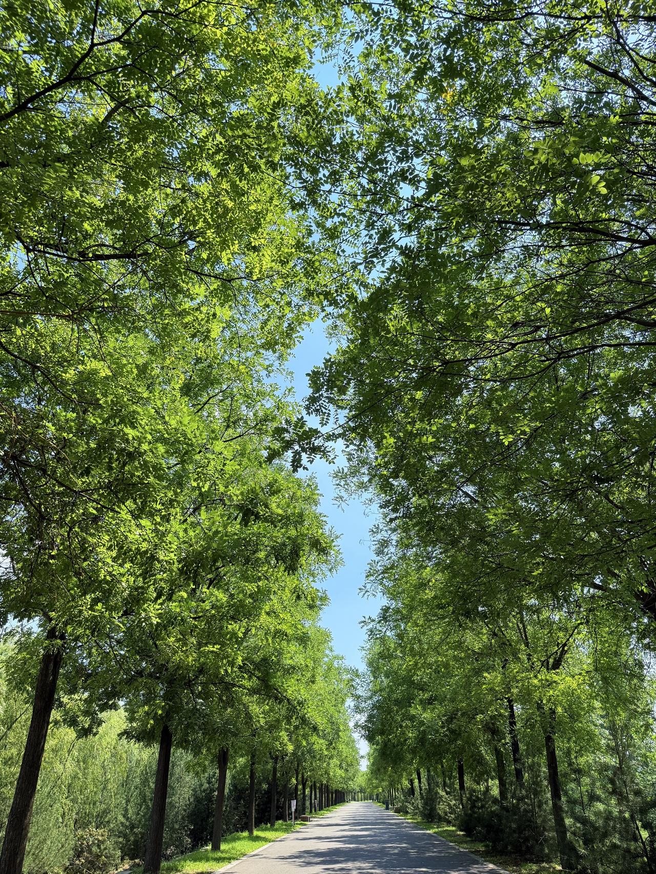 今日更新