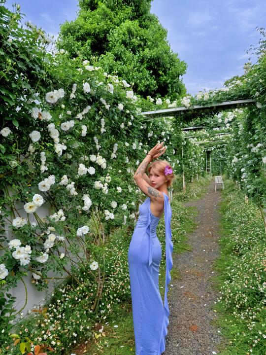 昆明一条没人的花路✿ 𝗦𝗽𝗿𝗶𝗻𝗴 🪻💜🫧
