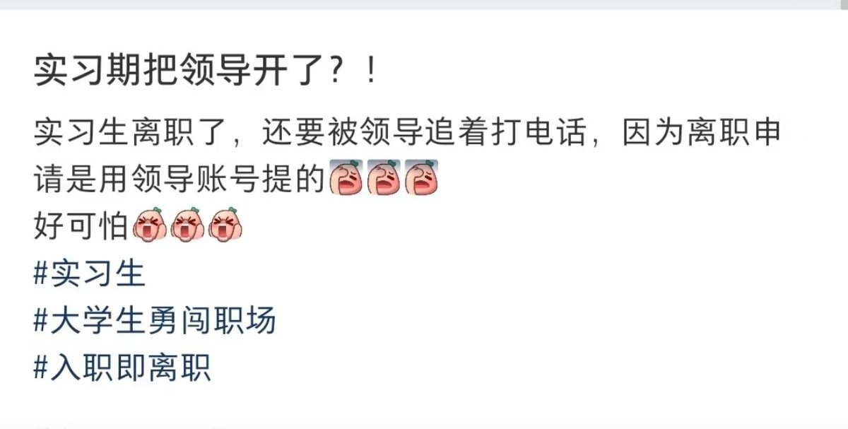 实习期把公司领导开除了 