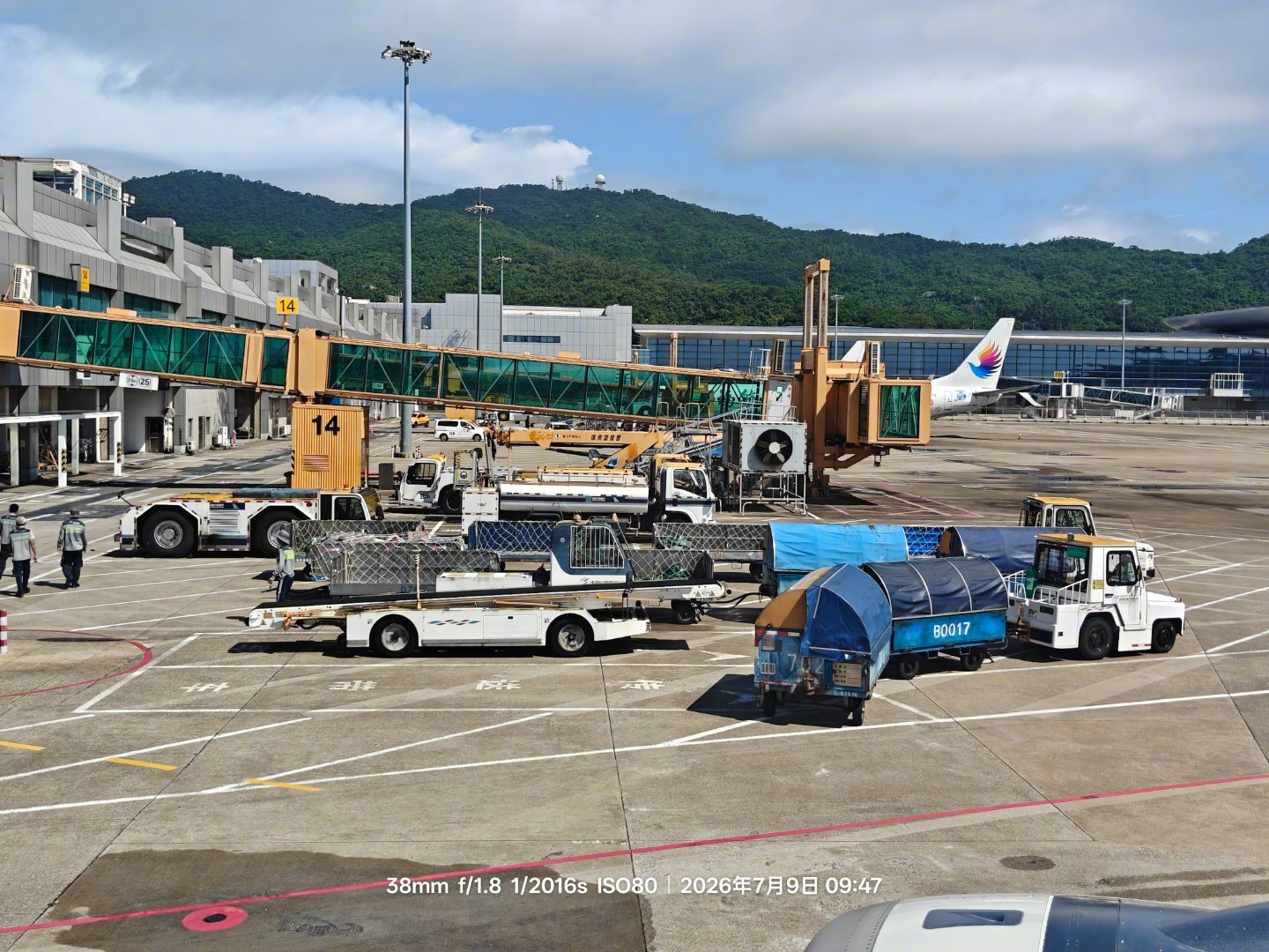 航空君航空科普 大家来认认这群围着客机航班转的都是什么车？航空创作计划