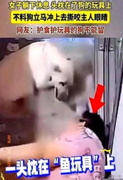 畜生永远是畜生！2024年黑龙江一女子躺下休息，头枕在了狗的玩具上，没想到狗扑到