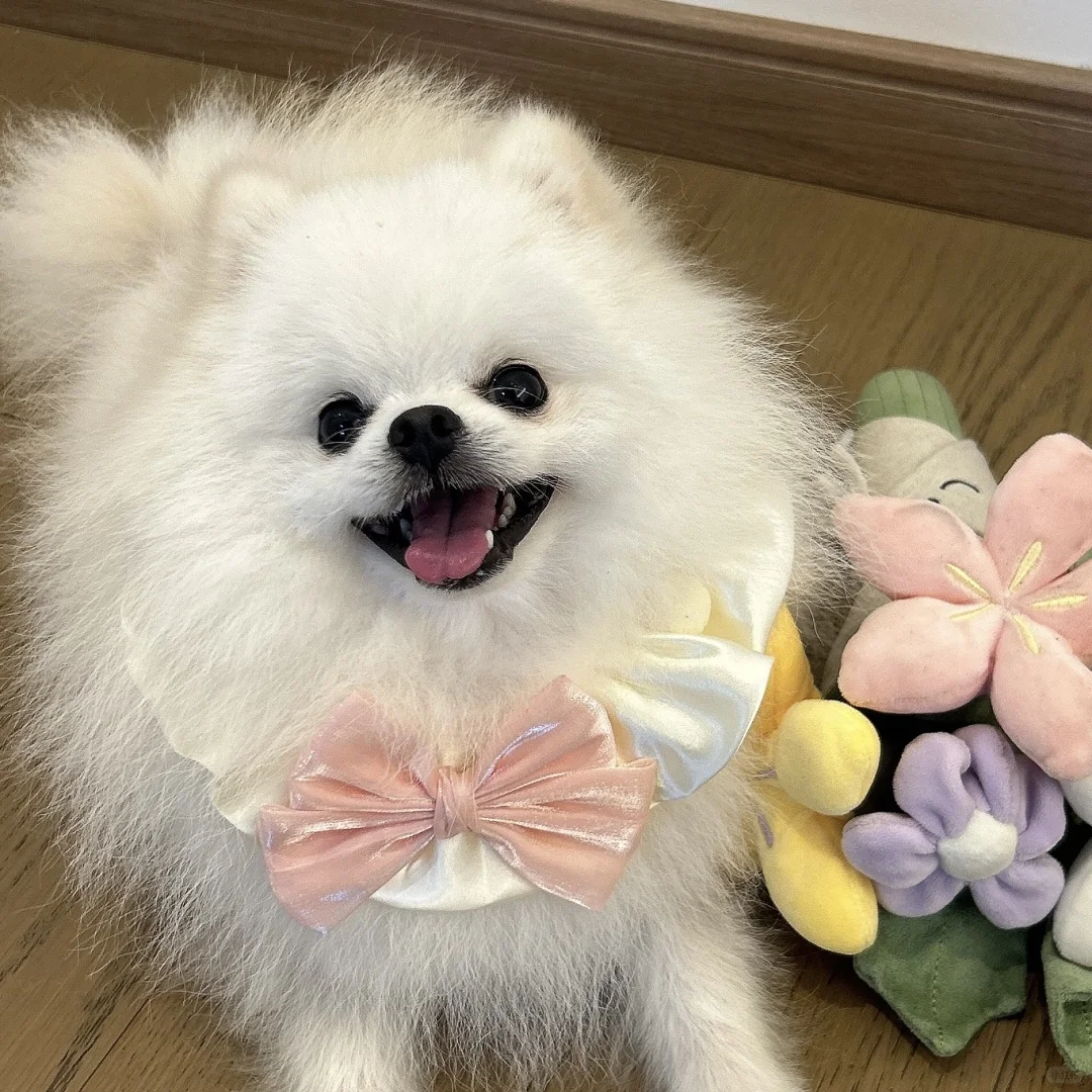 有没有人愿意和我儿子相亲啊