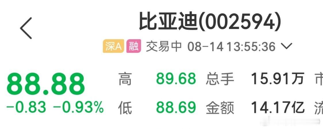 8888财富密码比亚迪