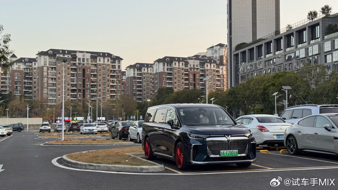 停户外停车位最讨厌的情形之一…明明躲开了树底，头顶是晴空万里却躲不开鸟屎的袭击…