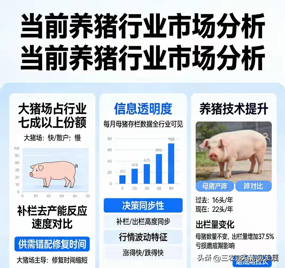 5元一斤！猪肉跌成“白菜价”，养殖户却欲哭无泪

太狠了！猪肉价格直接跌穿“心理