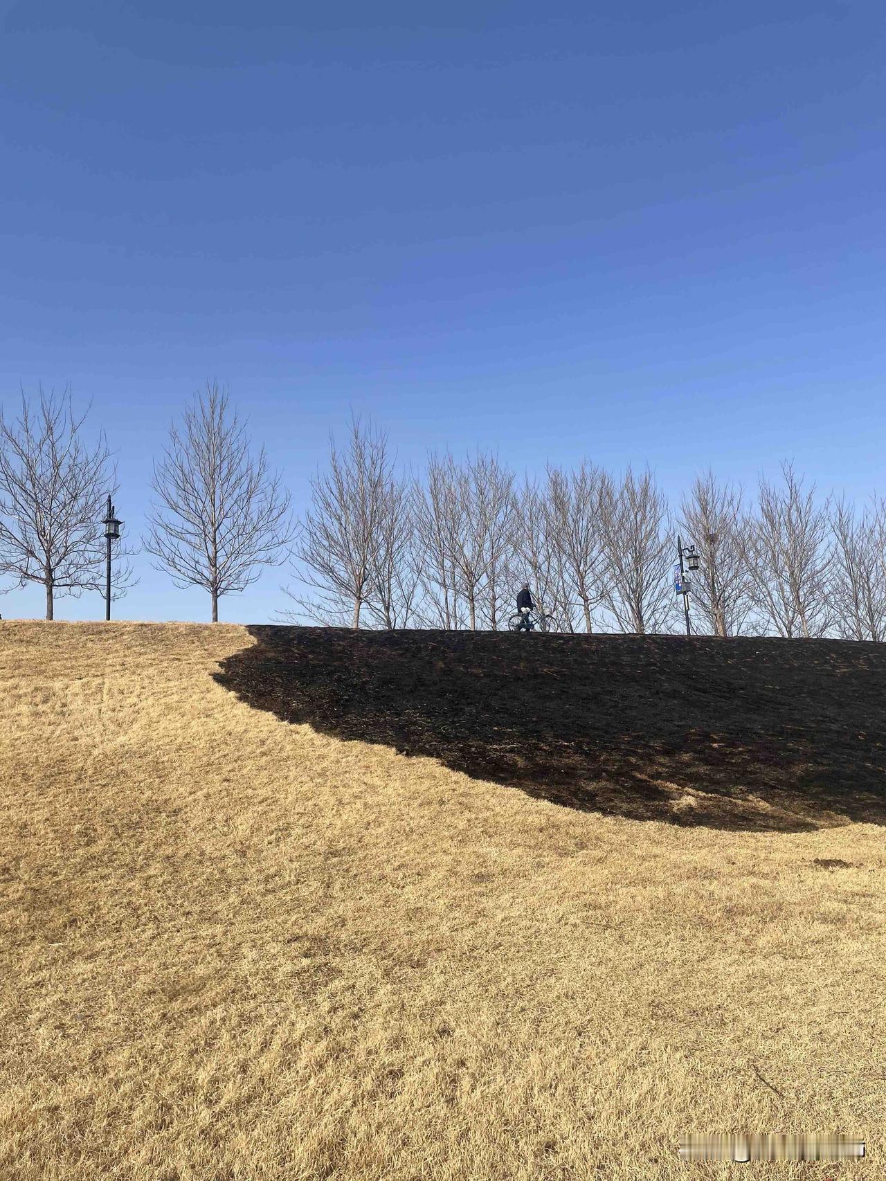 正式离婚后的第一个新年，假期的最后一天，自己漫无目的的晃。
耳机听着常听的播客，