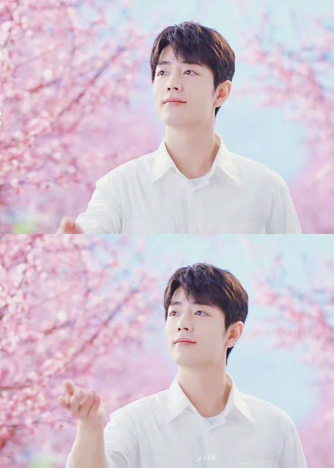 心有繁花，不负韶华。肖战春分宜见面◎肖战热成啥样了