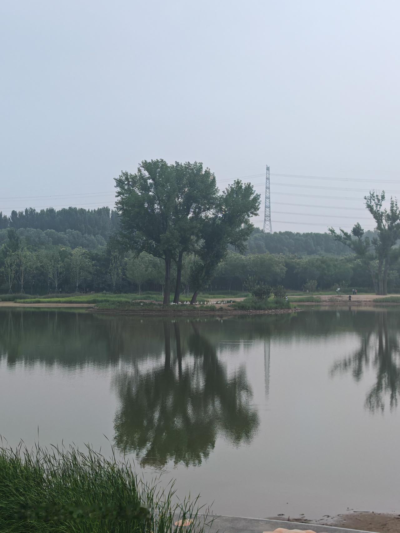 湖光山色映清波，水鸟飞翔影婆娑。北京朝阳坝河金盏淀公园。