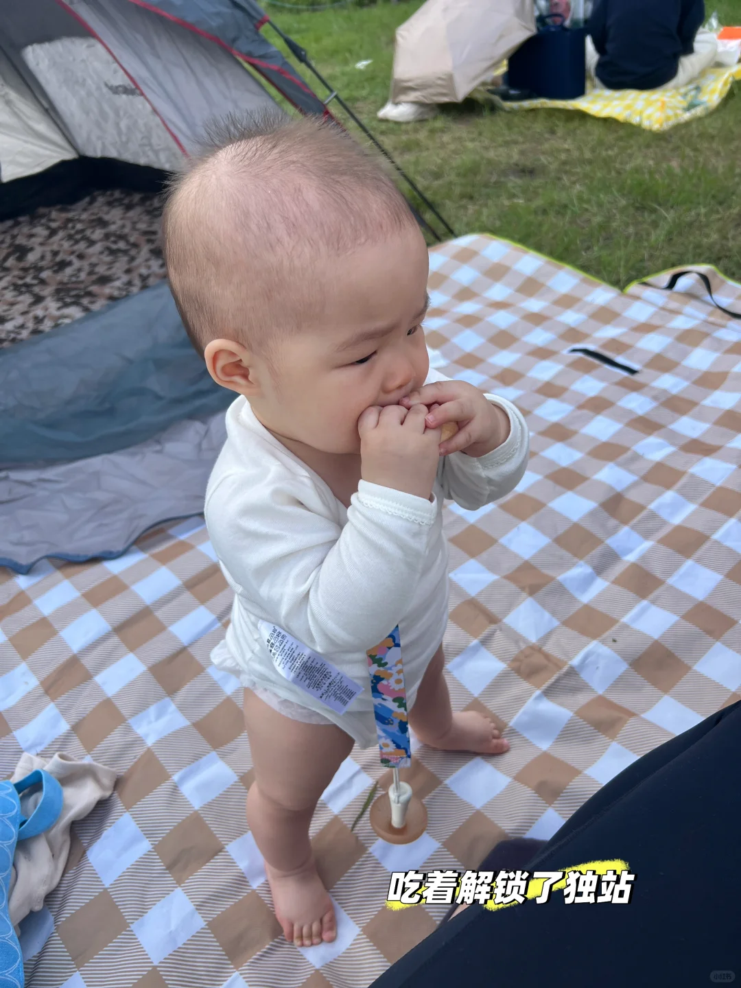 共青森林公园：魔都户外遛娃天花板☁️