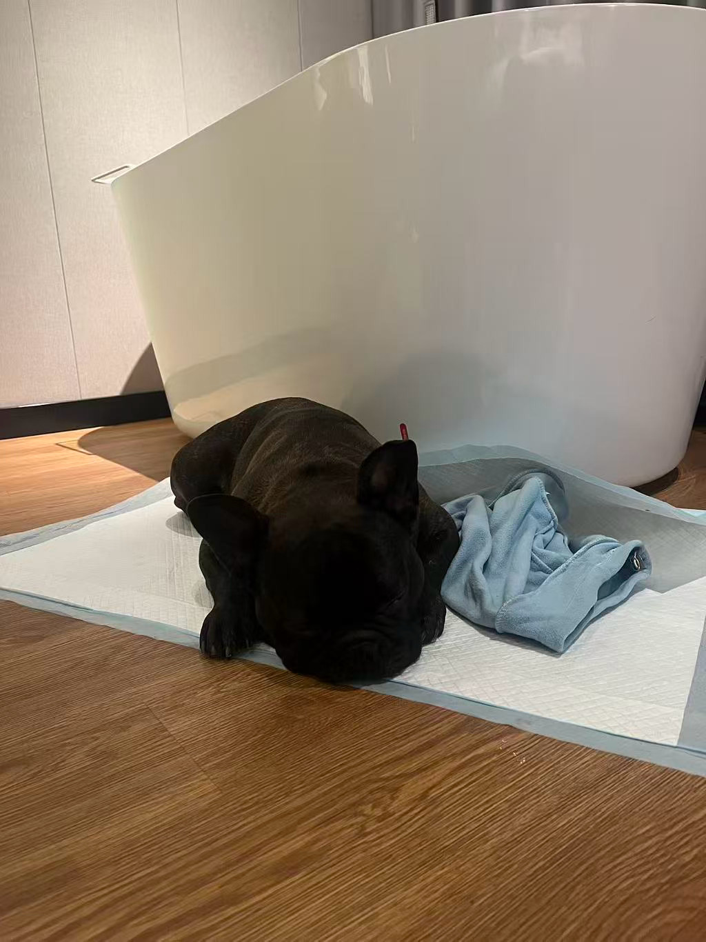 这个酒店风景真的不错的。早餐送到房间，就是停车场有点远，难得走。甜总每次来北边一