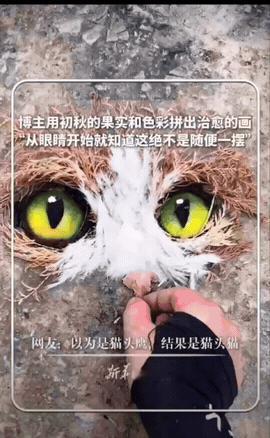 重庆，一男生蹲在地上，用路边捡的初秋果实、落叶、松针和树皮，硬生生拼出了一只栩栩
