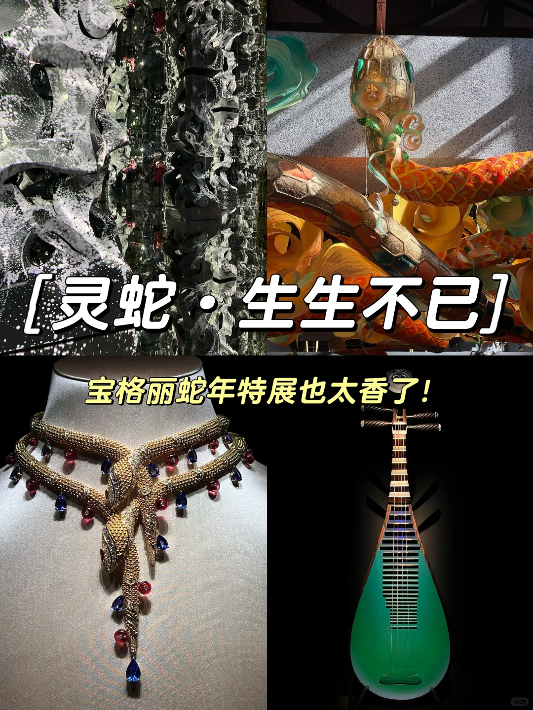 工作日的宝格丽展览真的很香‼️（附看展攻略