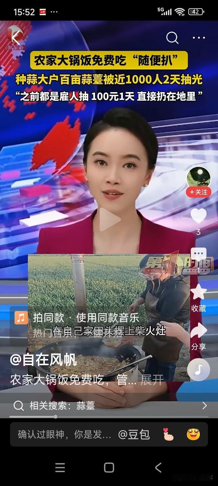 江苏徐州，有一男子种了100亩大蒜。如今蒜苔到了采摘时节，若雇人采摘，得花费一大