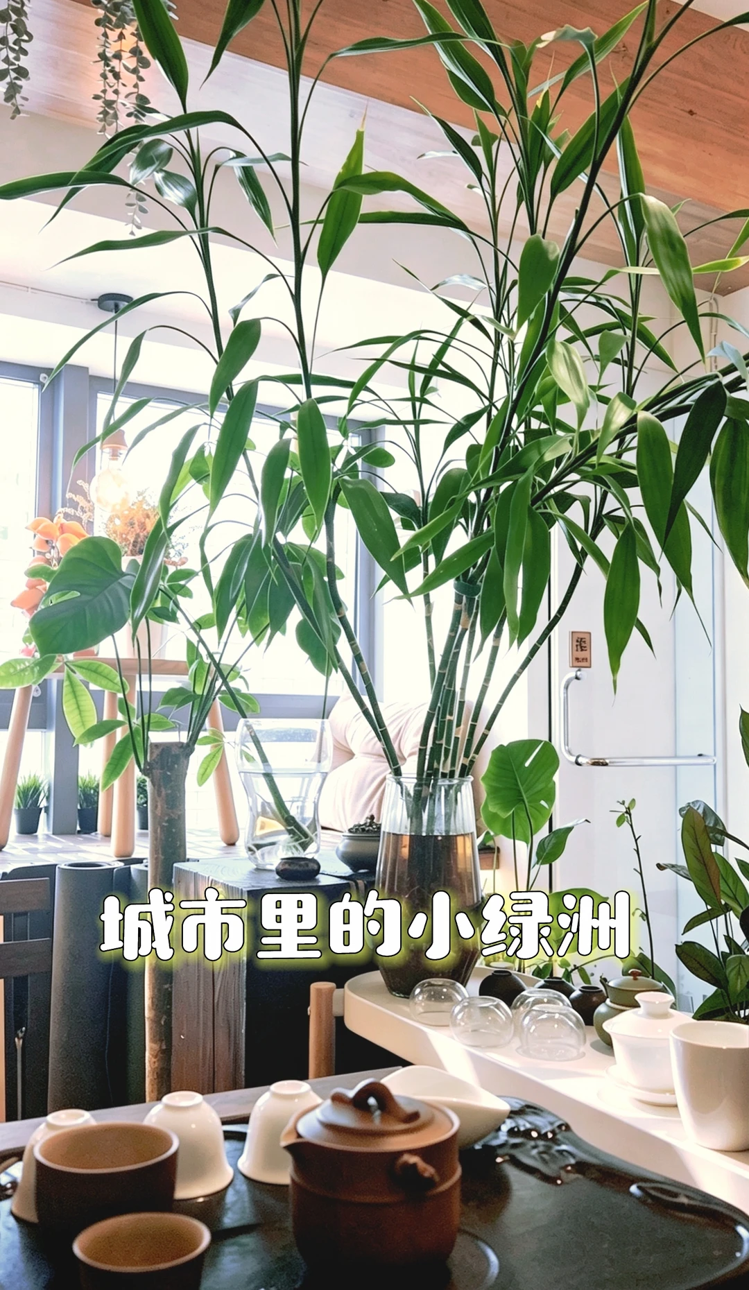 在北京！我的瑜伽馆里藏着一个治愈系小花园