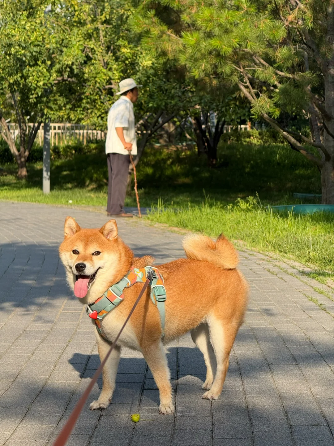 这张照片记录的是开心