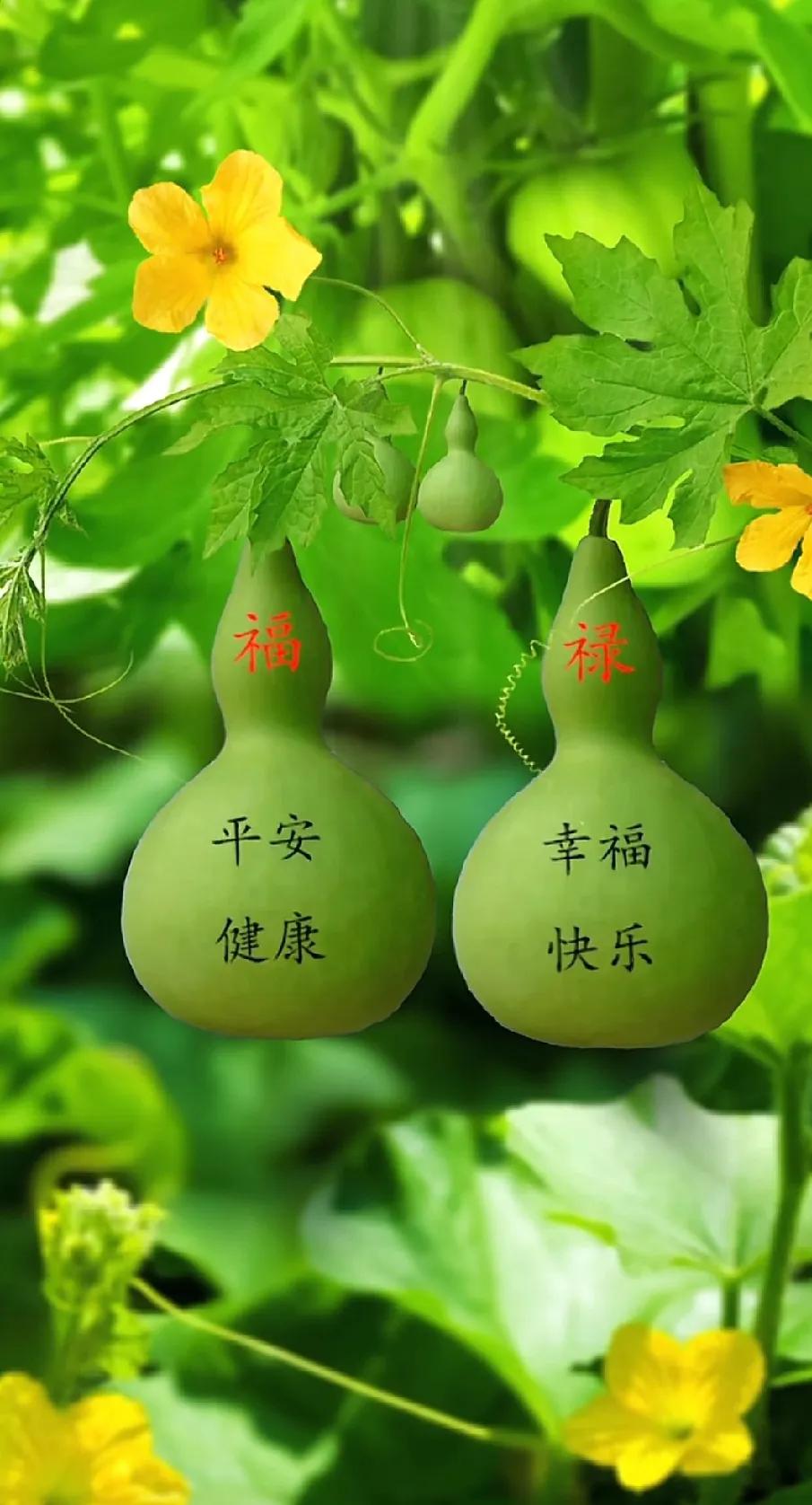 “福禄平安，幸福快乐”的美好祝愿，送给每一个看到这张图片的你。🌱💐🍀砸开幸