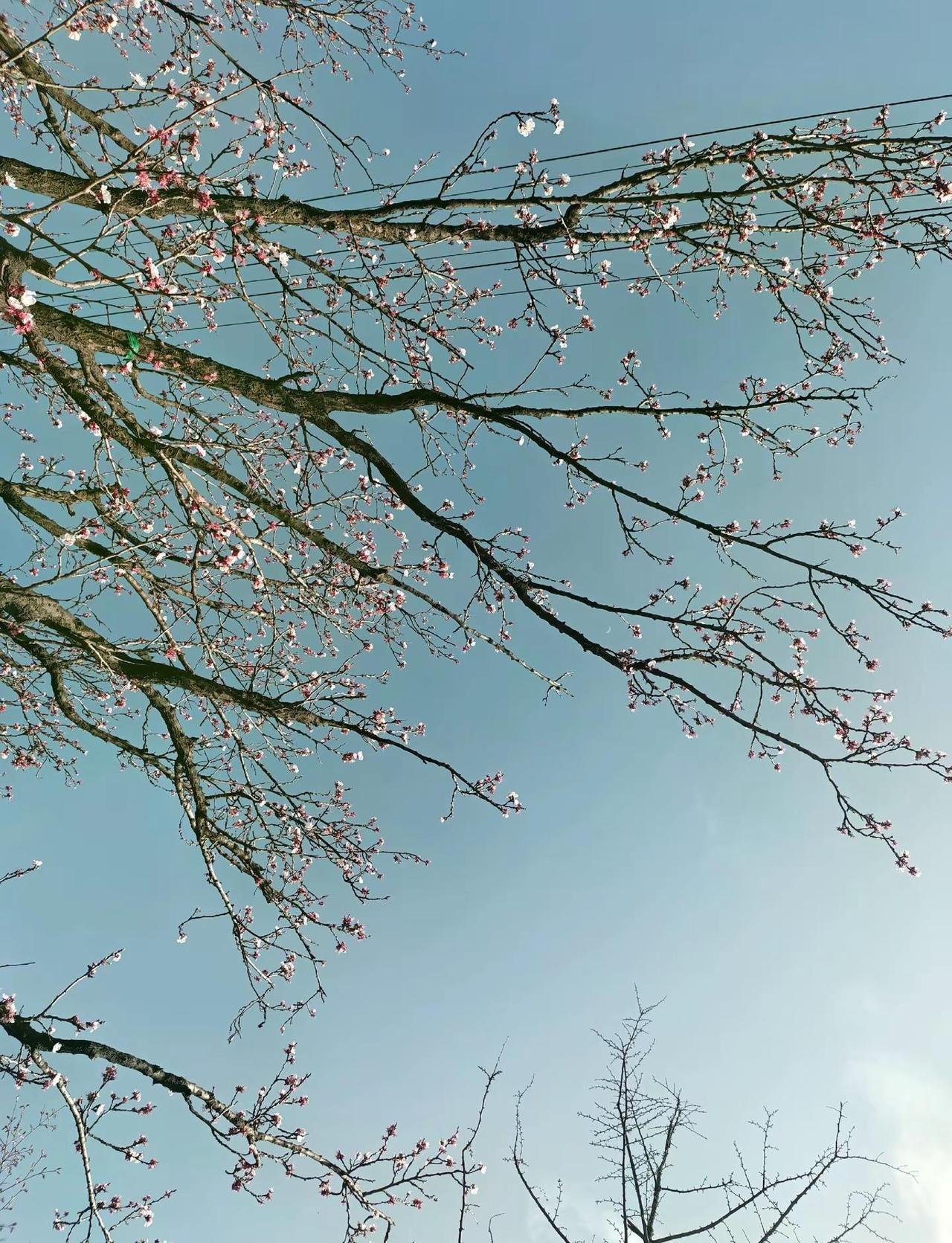 有所学，有所悟，有所得，任纷纷扰扰，无处不心安