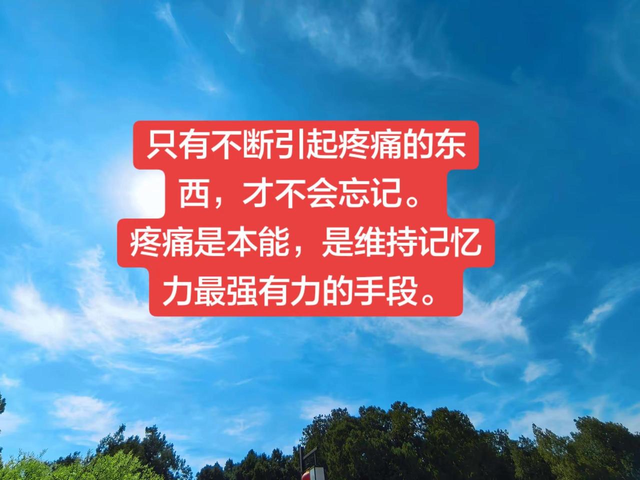 你痛过吗？只有不断引起疼痛的东西，才不会忘记。疼痛是本能，是维持记忆力最强有力的