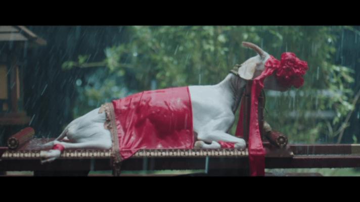 赵凌雨中下跪求娶傅庭芸花开锦绣 这一场大雨跪戏太戳人，赵凌拼尽全力打拼想做傅庭芸