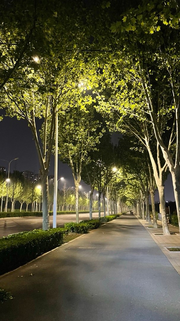 积极应对每一个当下 