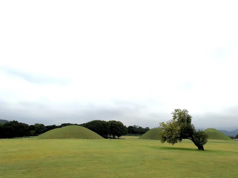 想在 1 分钟内了解 APEC 相关的庆州？那我这就开讲。
庆州在韩国东南部的庆