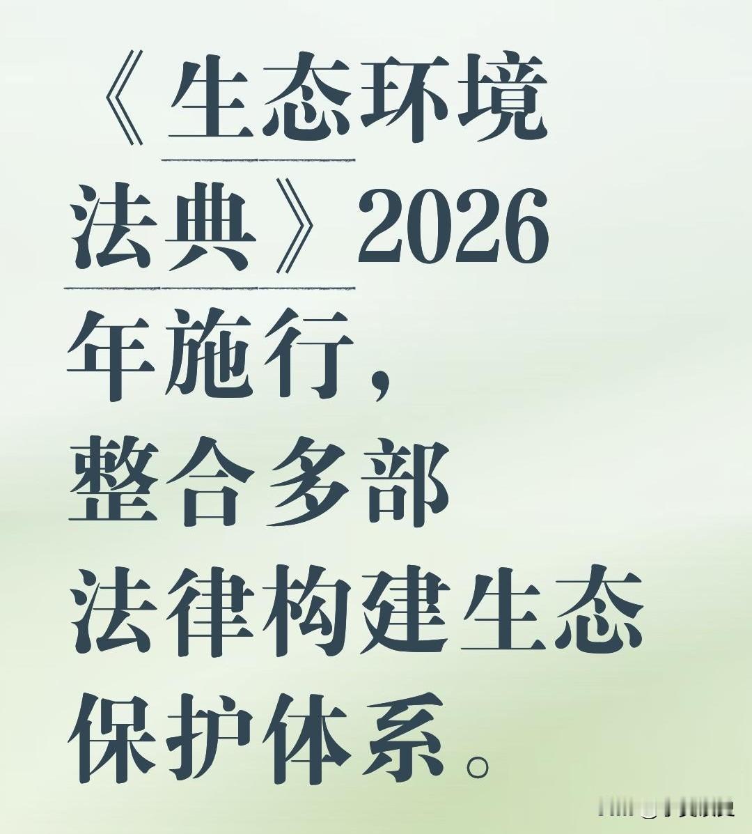 2012年以来，共诞生了两部法典，一部是民法典，第二部是生态环境法典。法典也属于