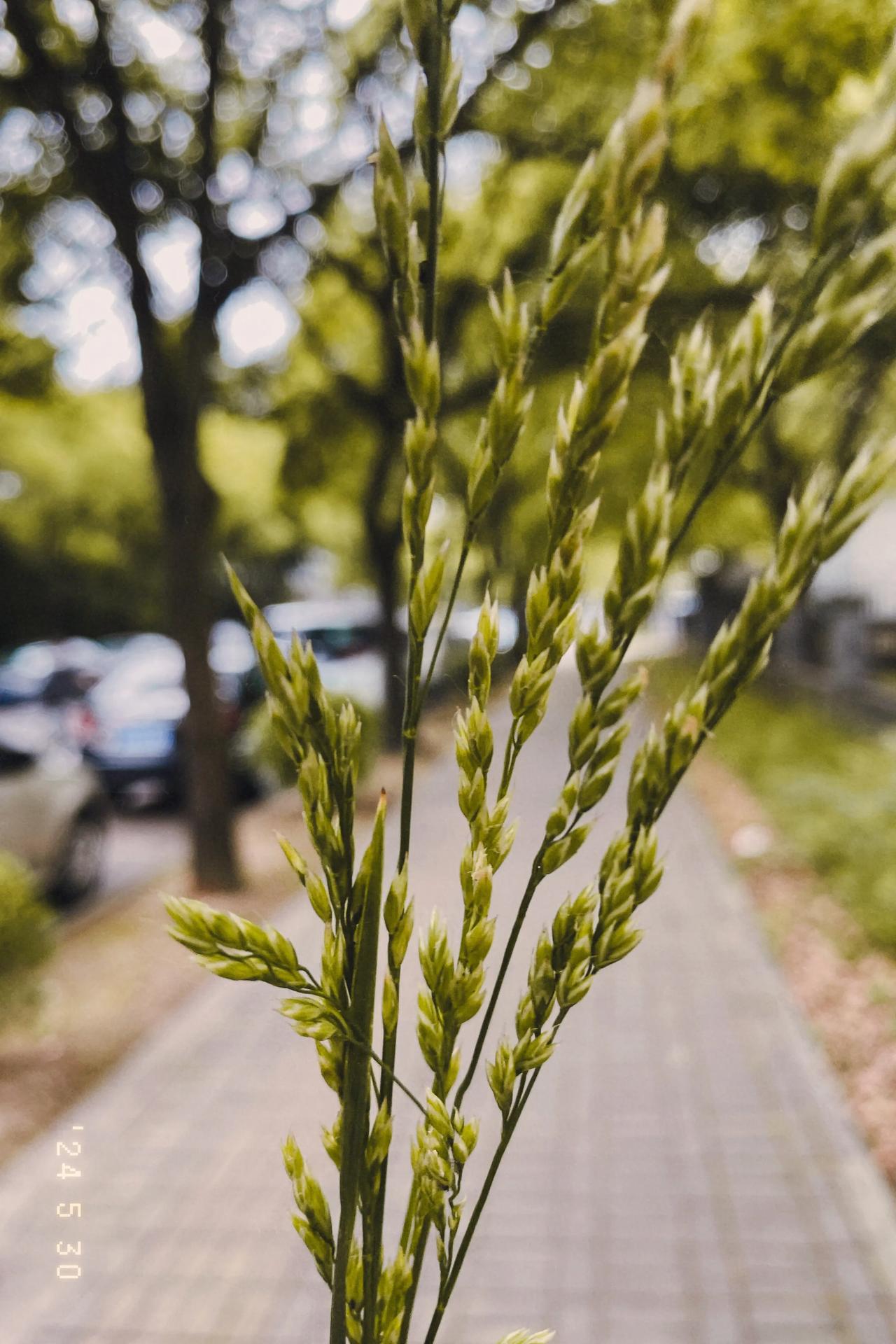 我希望凡事能自己做决断，生活在热爱里，有自己喜欢的事情，并乐此不彼，时而奔跑，时