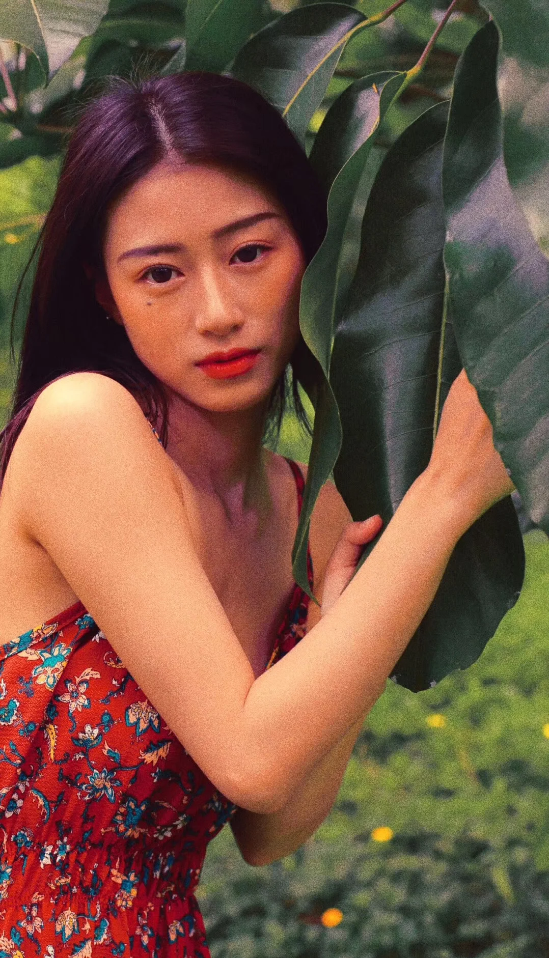 三亚｜花在野温柔热烈