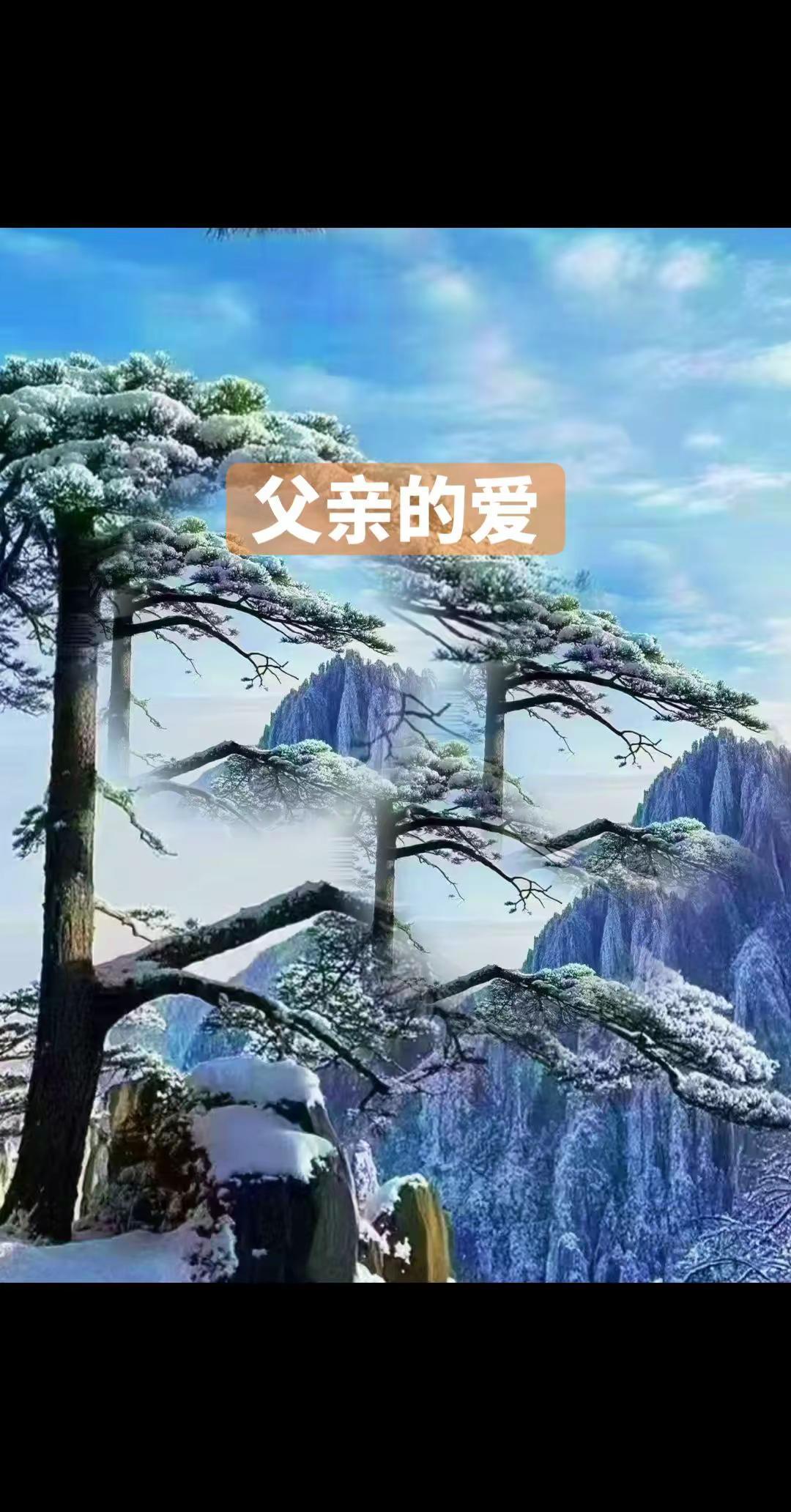 治愈系风景。大美中国自然风光欣赏 黄山 迎客松 上热搜 跟着走进祖国大好河山…黄