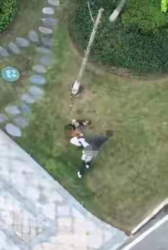 10月22日，多位网友在社交平台发帖称，重庆照母山一小区内，一名年轻女士遛狗时被