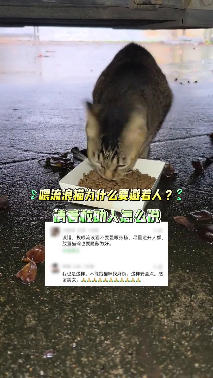 多吃点，身体健康。