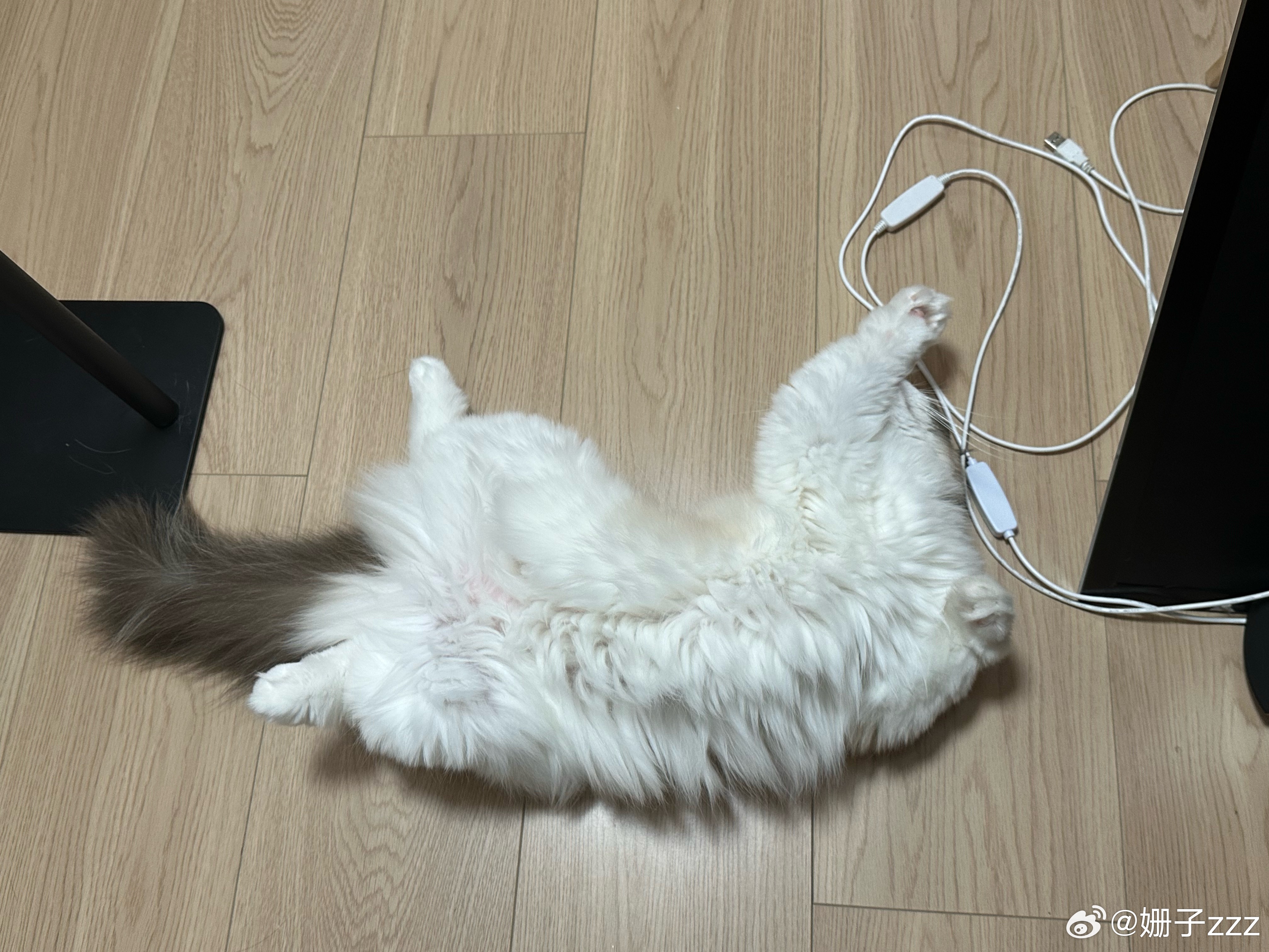 守门员姿势 
