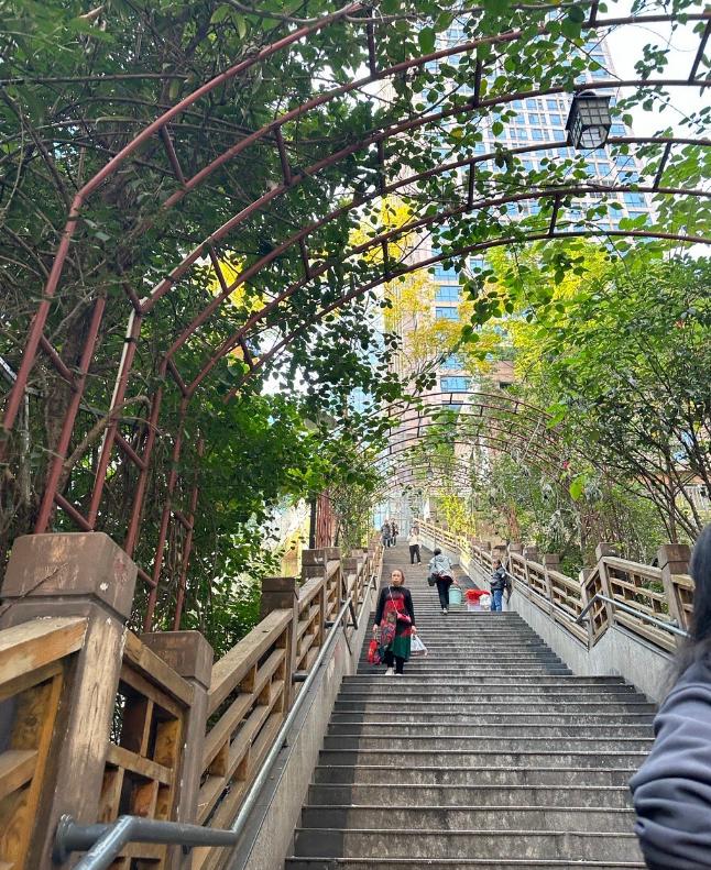 难怪重庆瘦人多！以前一直以为重庆人是吃辣拉的多所以瘦，原来是走楼梯变瘦的。重庆的
