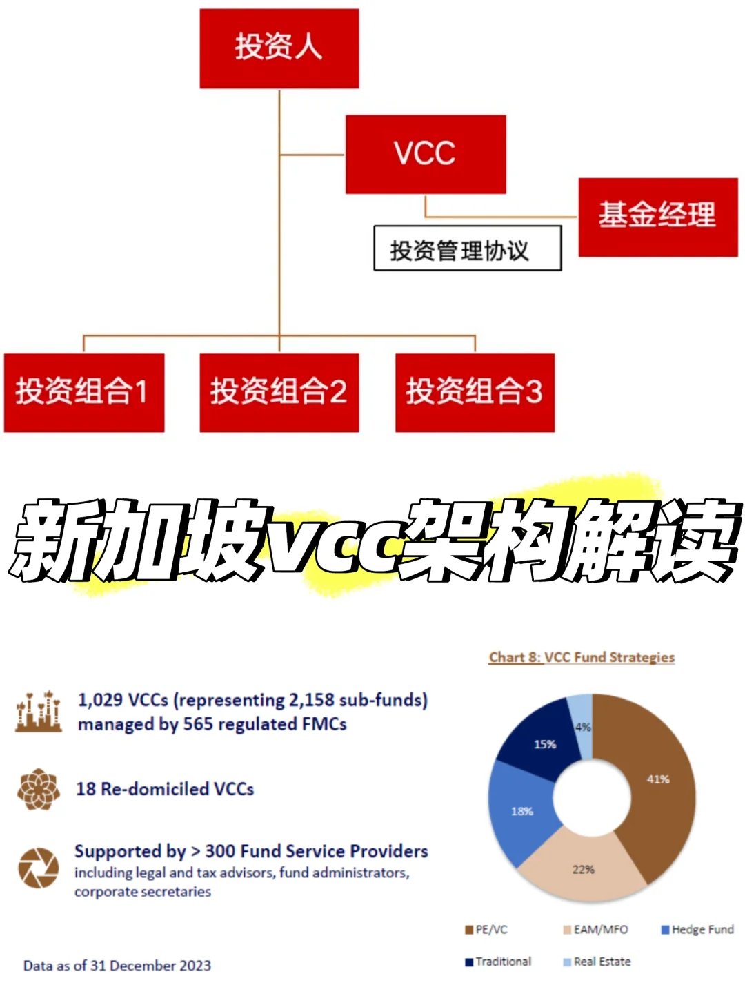 新加坡vcc基金架构解读㊙️