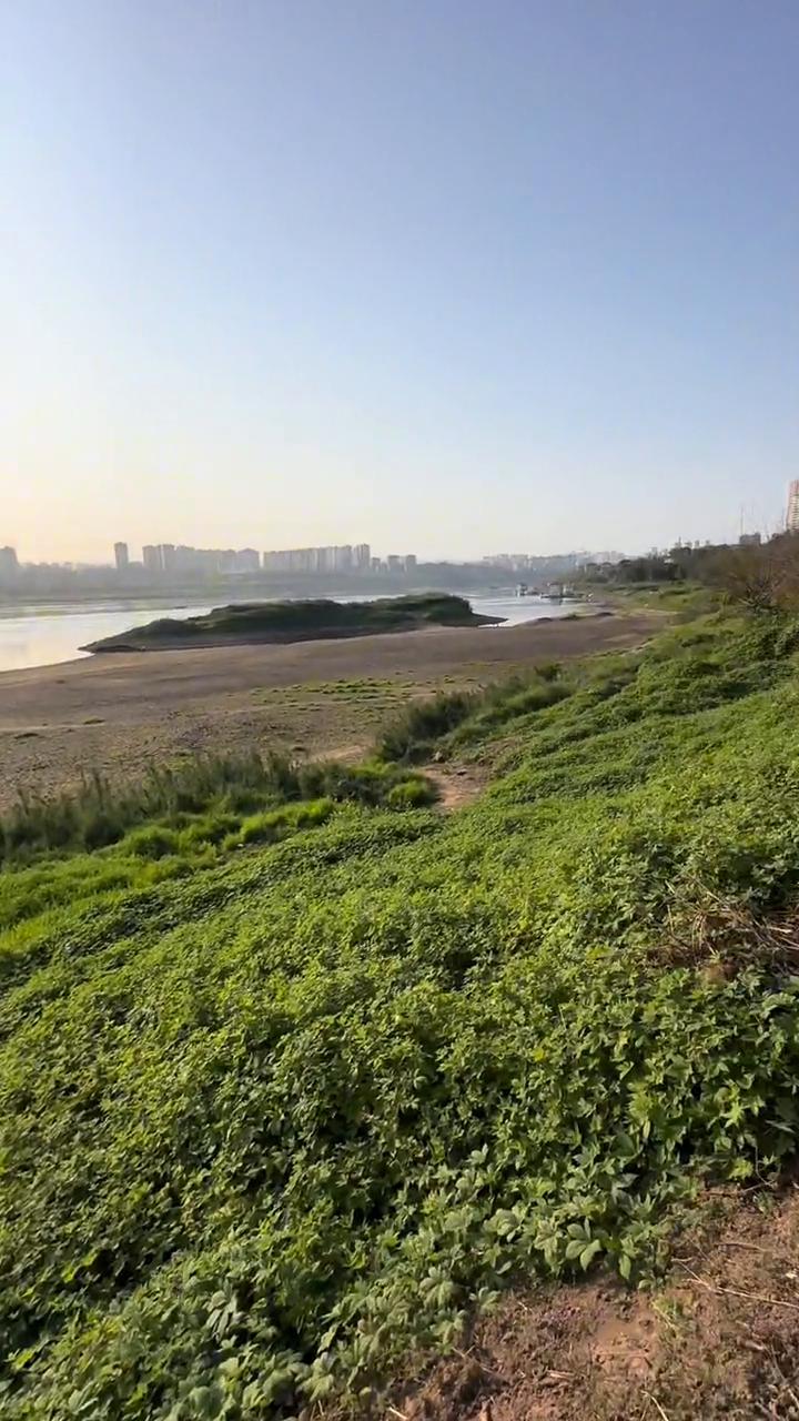 长江退水了，现在长江水位一百六十七米，全弄出来了，江水好清澈。退水了，白居士大桥