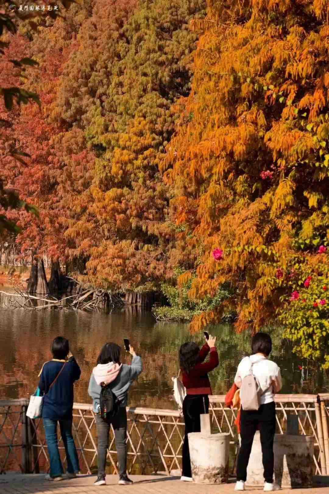周末去看看自然风光！
带定位晒今日生活
我的今日状态：😁轻松愉快
我这里的天气