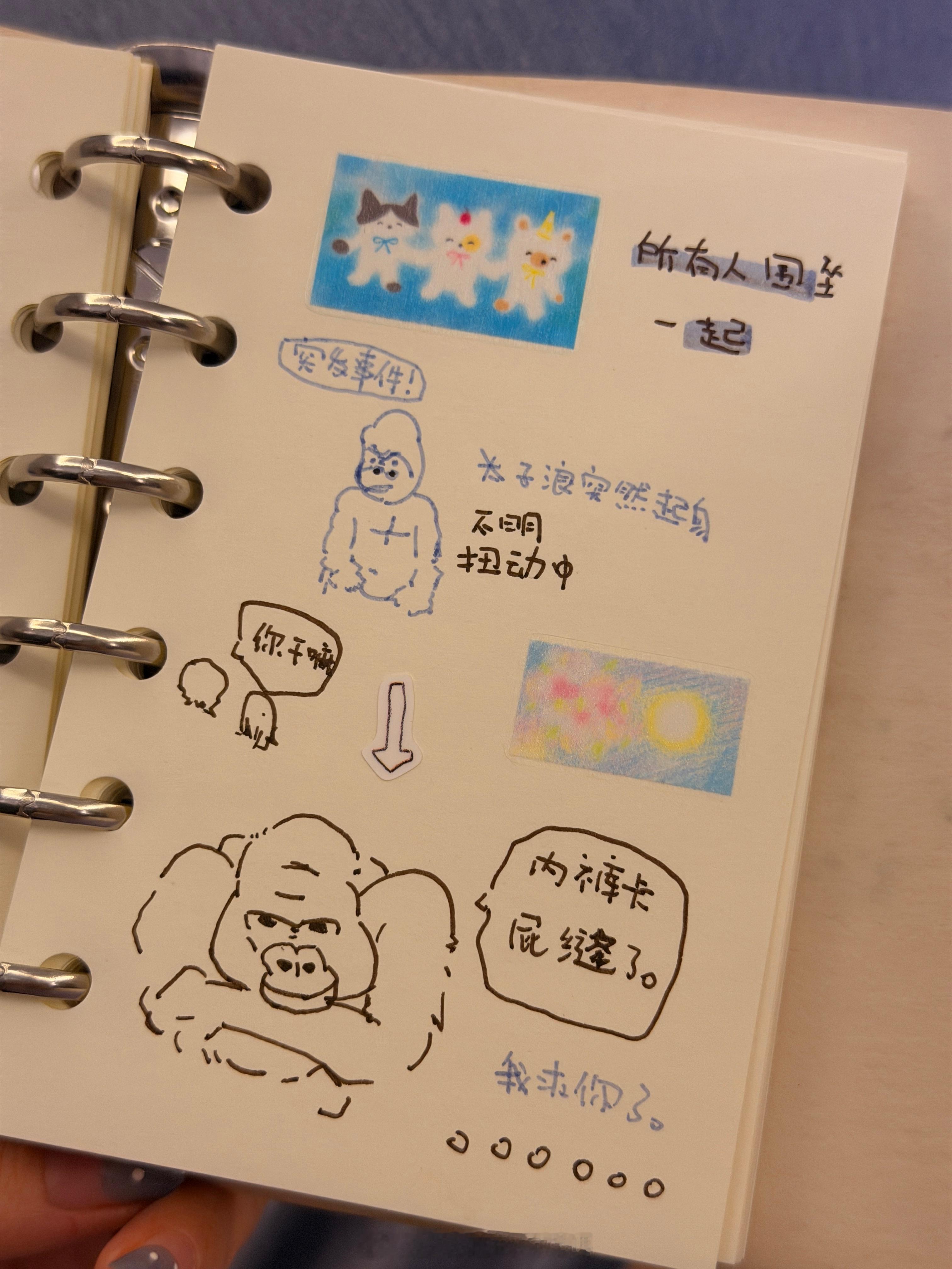 刚认识子浪我都不敢和她讲话，后面发现她总是一脸严肃的干一些特别囧的事情！在拉吧她