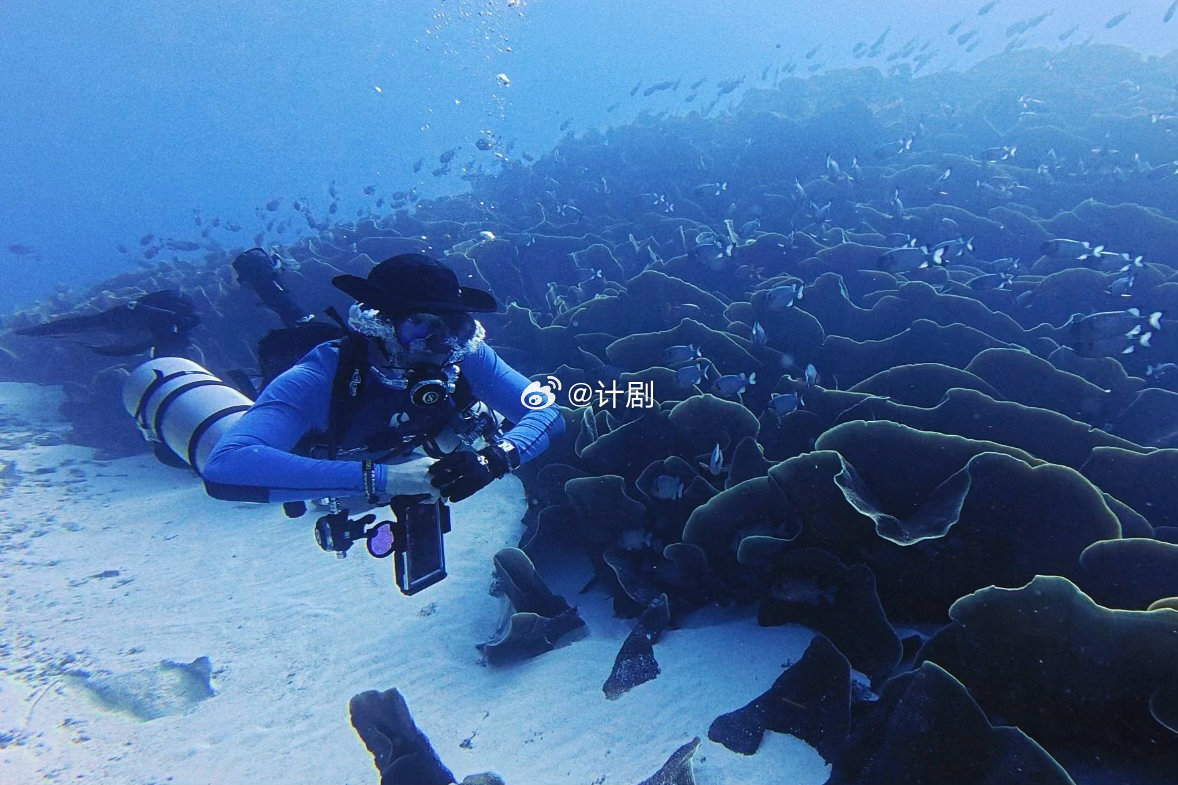 演员章涛马拉图岛救中国游客 中国游客在马拉图岛深海被困两次，危急关头，全靠章涛的