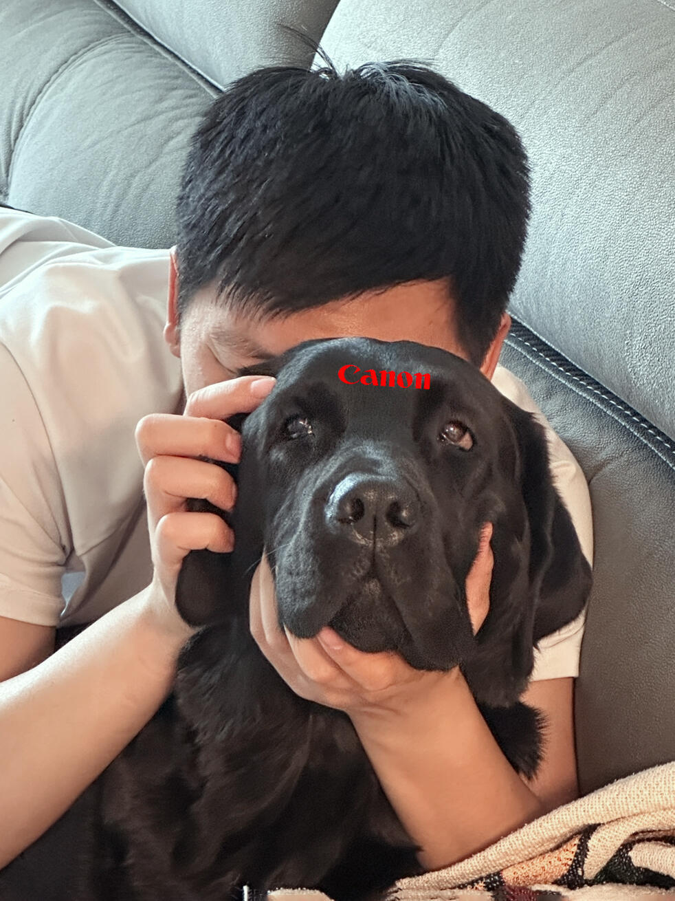 我有一台小狗相机 ​​​