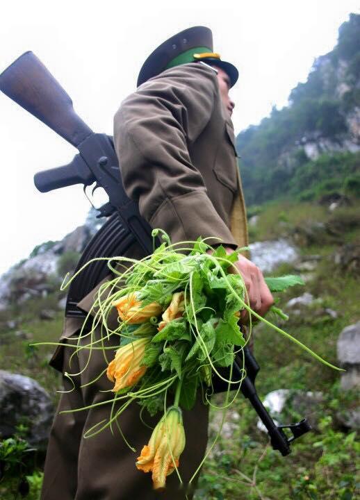 越南边防军和南瓜花，难道还薅了一把菜烽火问鼎计划越南