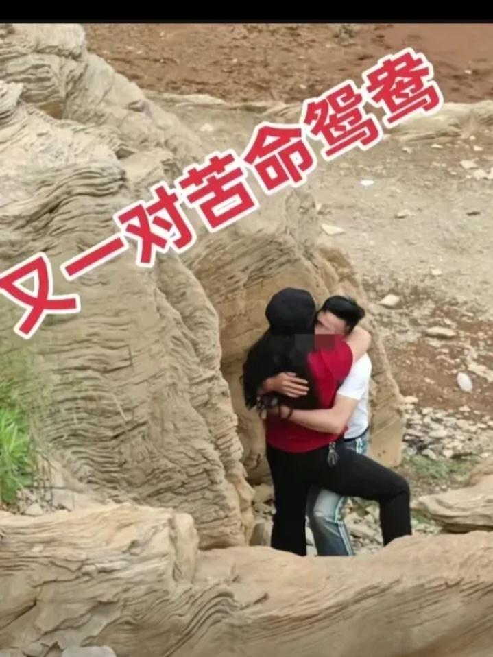 这样的感情值得吗?一对苦命鸳鸯，平时朝思暮想，发个信息怕别人看见了，打个电话怕别