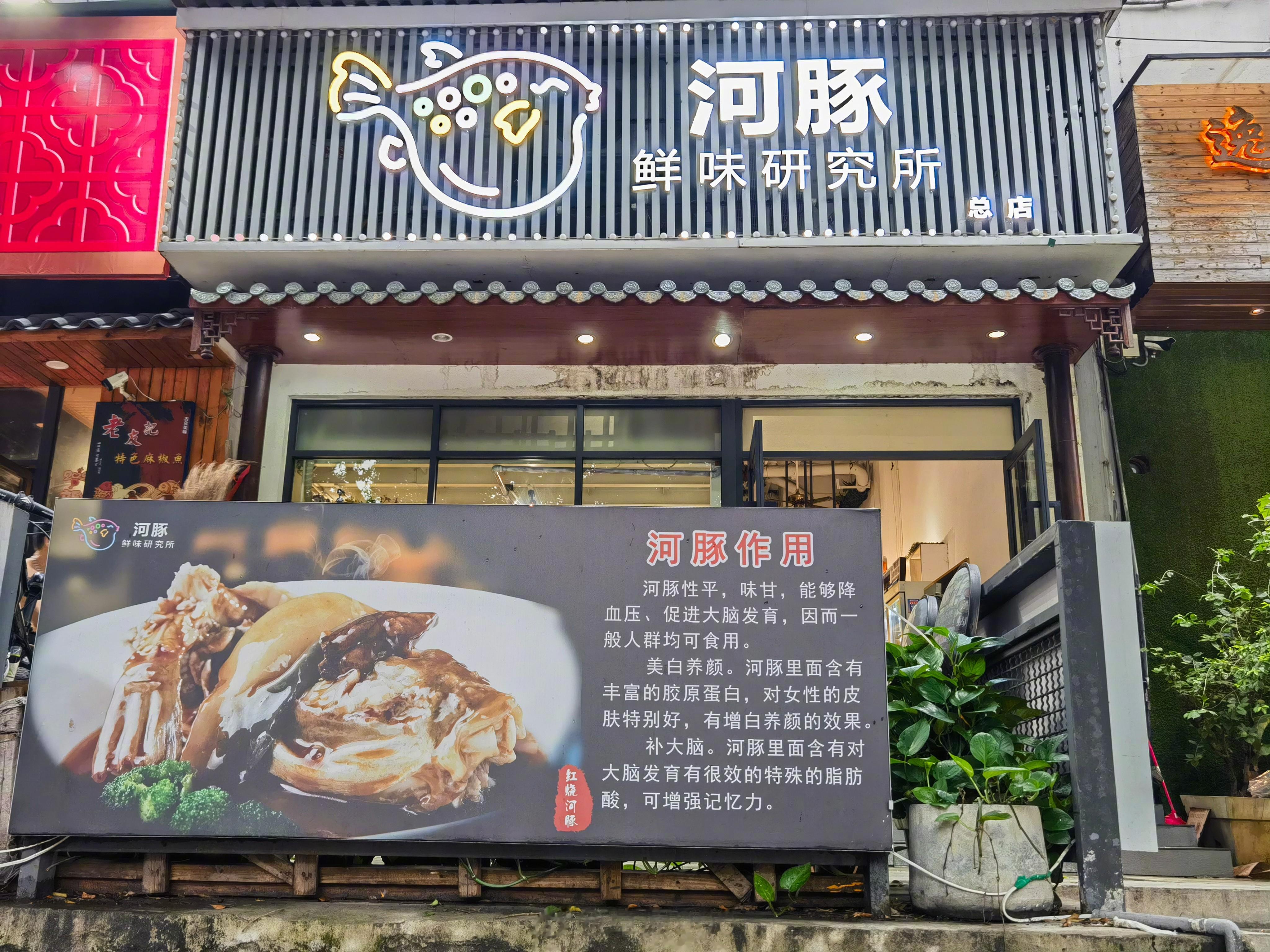 河豚，要不要试试🐡[思考][二哈]#中国旅游日##鲜城#  ​​​