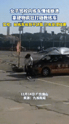 驾校的女学员，
练车练到情绪崩溃。
索性开始了疯狂的报复！
各种手段用尽，凳子砸