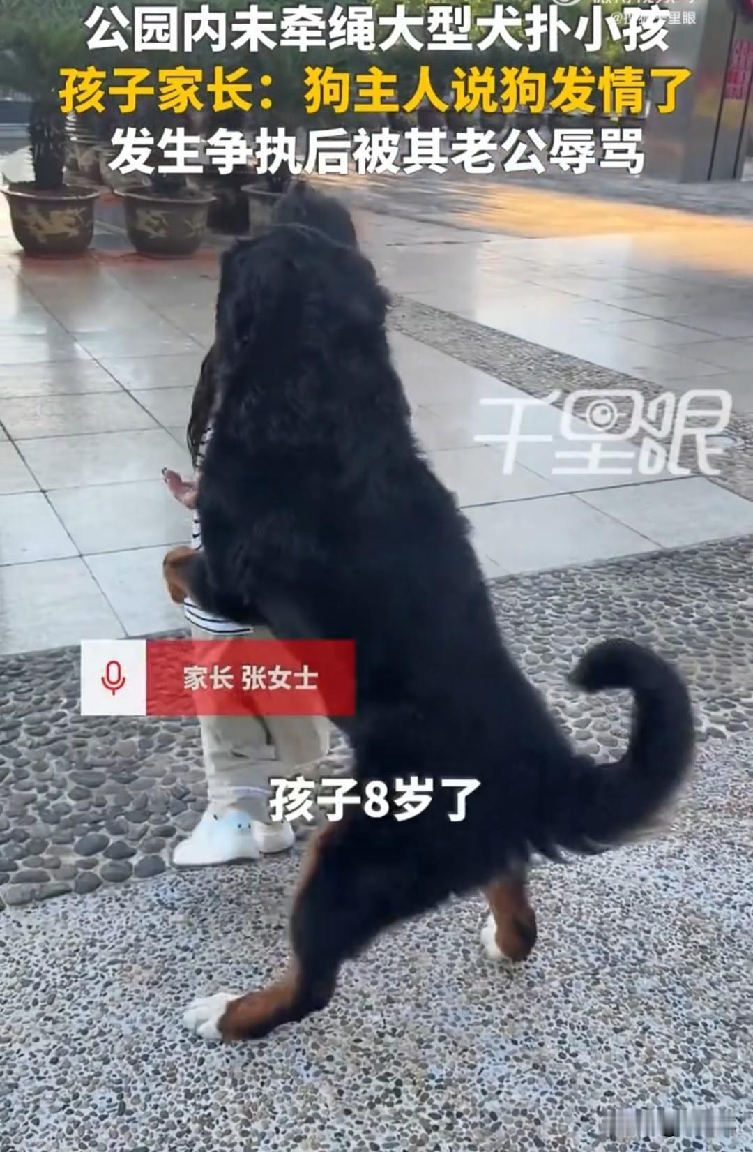 6月22日，云南玉溪，张女士带着8岁的女儿傍晚去公园里散步，一只没有拴绳的德牧突