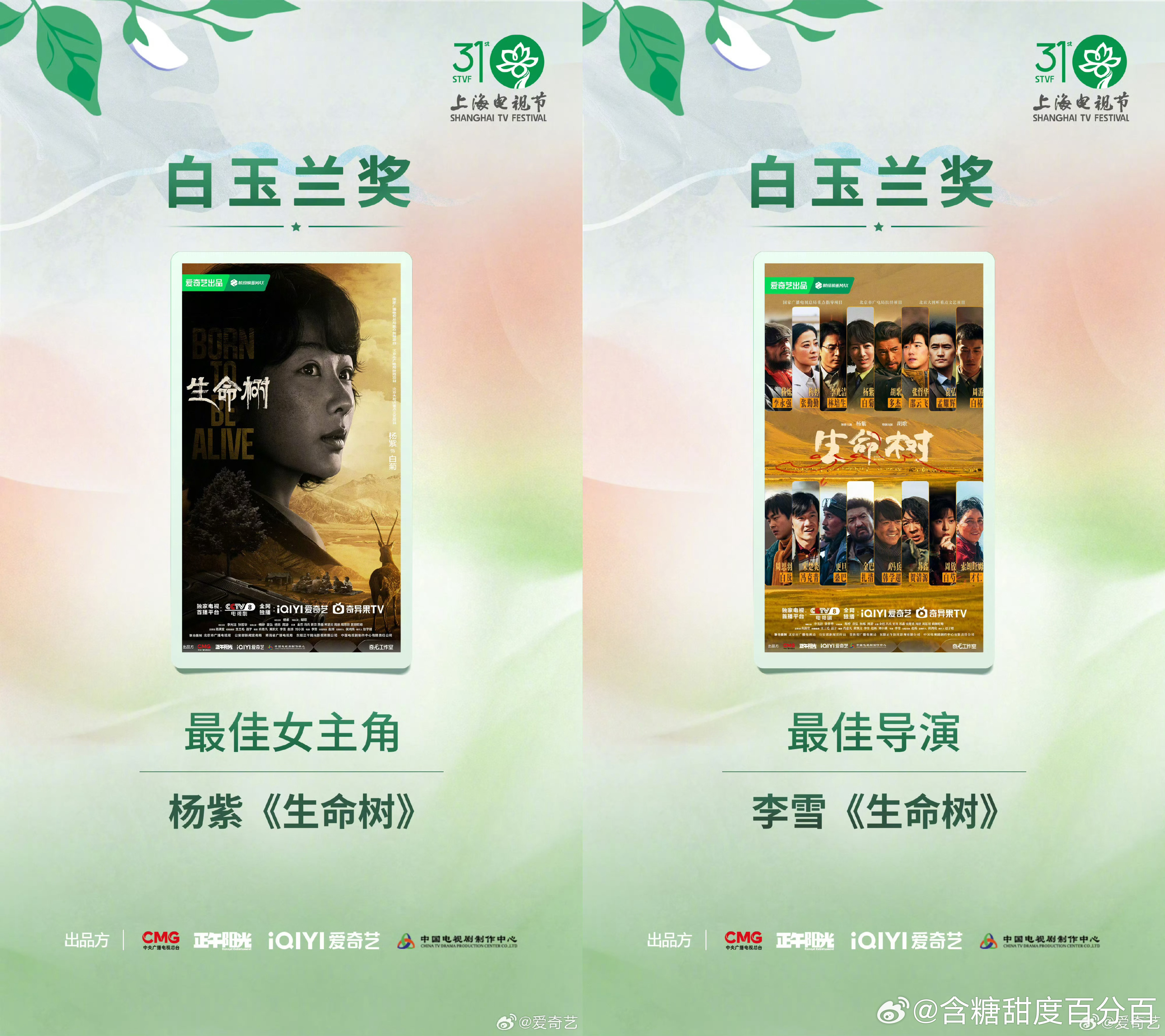 白玉兰最大赢家爱奇艺 连续多年深耕演技不断打磨自我，杨紫靠着爱奇艺出品的《生命树