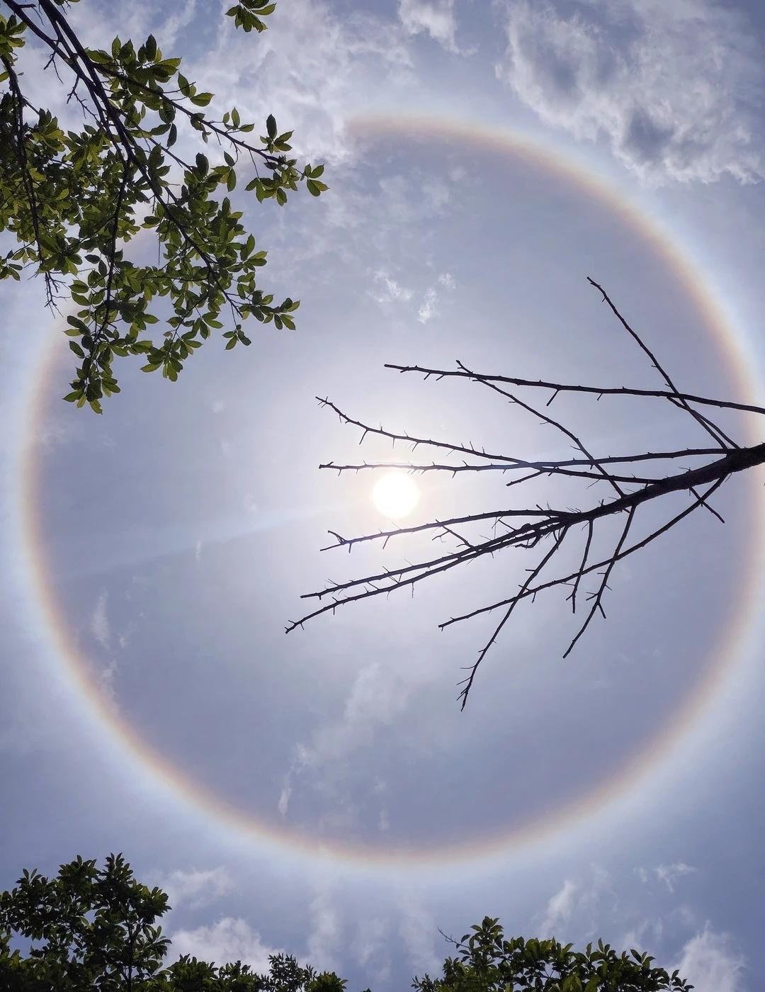 紧急呼叫成都人！快抬头看天👀
2026.5.2｜12：00
今天的太阳自带“美