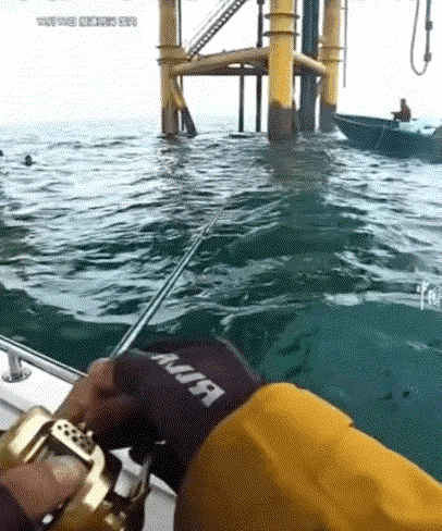 万万没想到，一男子在广西北海的海上钓鱼，钓了一会后，男子感觉好像有一条很大的鱼上